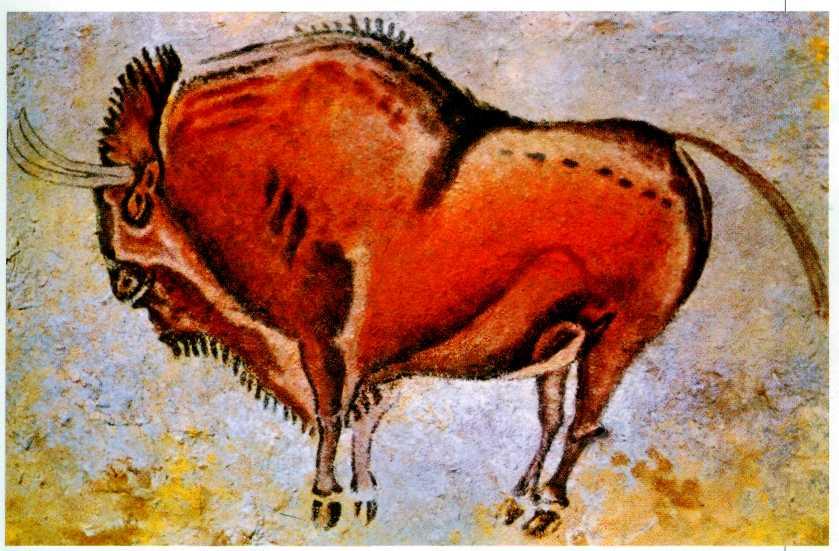 Зубр. Пещера Альтамира